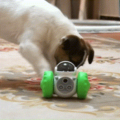 Juguete dispensador de golosinas con forma de robot para mascotas: diversión interactiva que estimula la mente y el cuerpo de tu mascota